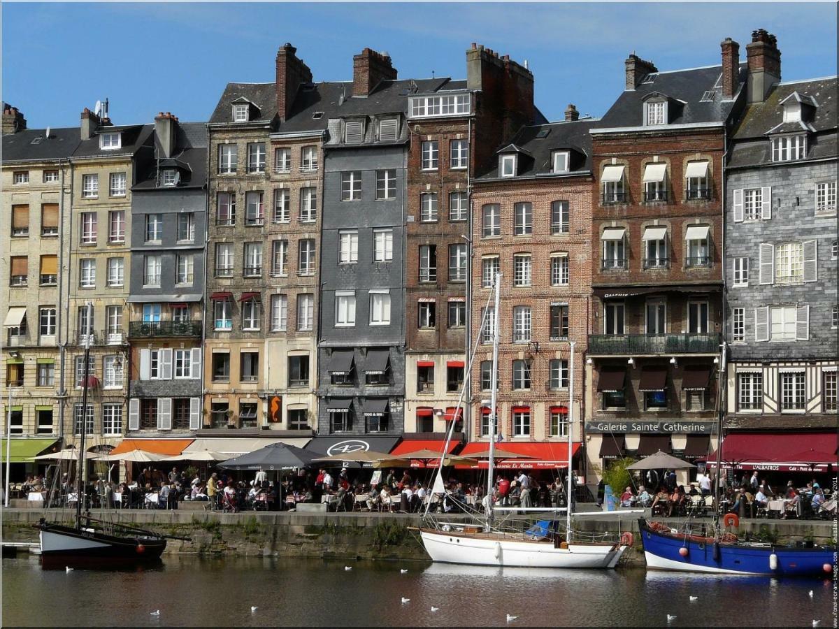 Le Cocooning D Honfleur Leilighet Eksteriør bilde